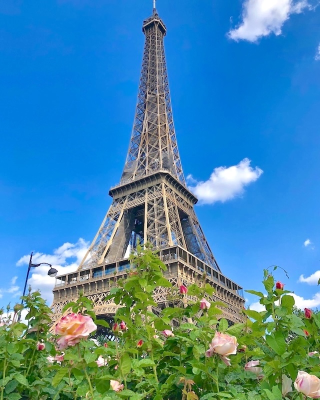 エッフェル塔と薔薇