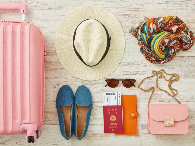 Travel Luggage