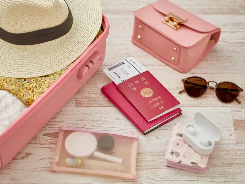 Travel Luggage